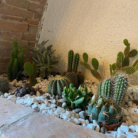 Cactus Suite Piza Zewnętrze zdjęcie